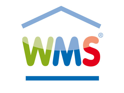 The new trends in the WMS storage systems