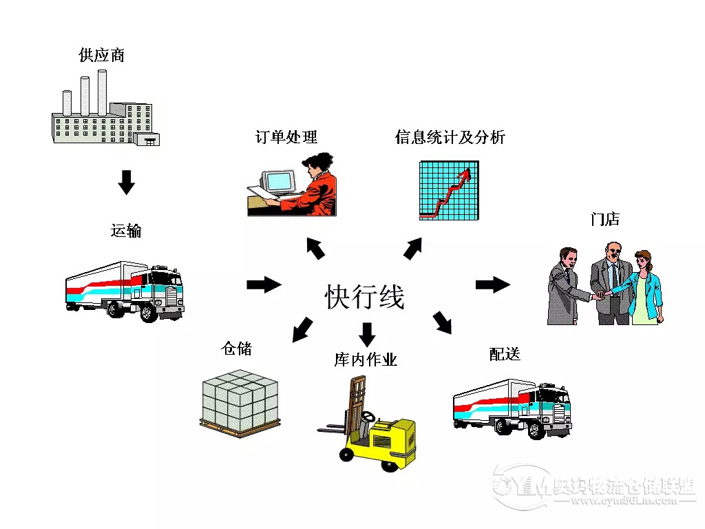 5.webp