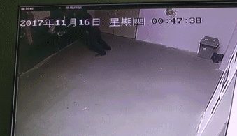 微信圖片_20190703101539