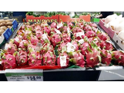 Vietnamese dragon fruit rated “5 stars” in Australia