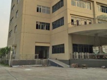 廣東/廣州/黃埔區(qū)倉庫出租