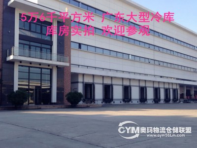 廣東-東莞-東城街道倉庫出租