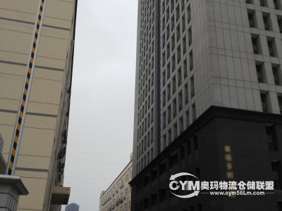 大廈樓高19層，面積2.27萬方，單層面積1163m2。首層層高6米，2-18層層高3.5米，配有4部電梯。 可作辦公、小型倉庫 。