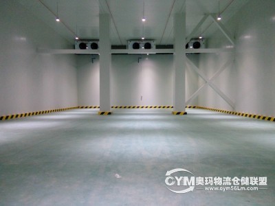 公司簡介