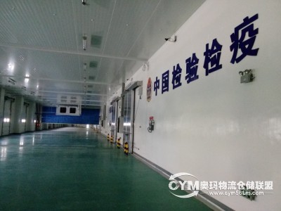 公司簡介