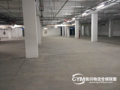 倉庫在-1樓整層，倉庫是地下庫，可以直接開車到庫位裝卸