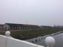 湖北/孝感/漢川市倉庫出租