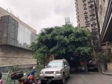 重慶/渝中區(qū)倉(cāng)庫(kù)出租
