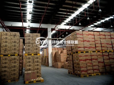 http://www.bitechong.cn/file/upload/sell/201903/20/17-36-15-22-30074.jpg.thumb.jpg