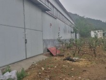 山東/濟(jì)南/長(zhǎng)清區(qū)倉(cāng)庫(kù)出租