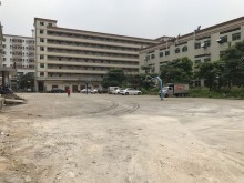 廣東/深圳/寶安區(qū)倉庫出租