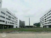 廣東/深圳/大鵬新區(qū)倉庫出租