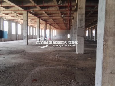 正在建設中的倉庫，預計是國慶前整理好，現(xiàn)正開啟招商中ING