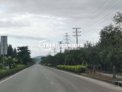 進出園區(qū)的馬路寬敞，車輛自由行駛
