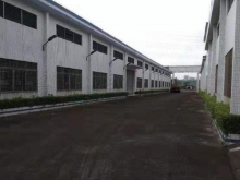 廣東/江門/開平市倉庫出租