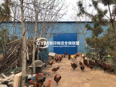 同一個(gè)倉(cāng)庫(kù)  看樹(shù)木和1圖的水缸