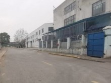 上海/楊浦區(qū)倉(cāng)庫(kù)出租