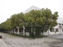 四川/成都/溫江區(qū)倉庫出租