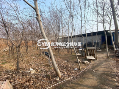 廠房后空地