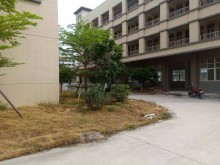 廣東/中山/東區(qū)街道倉庫出租