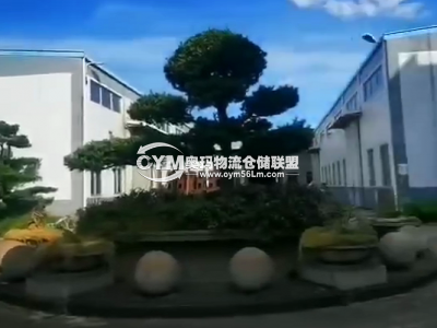 廣東-揭陽-揭東區(qū)倉庫出租