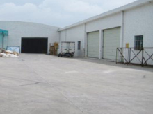 廣東-廣州-南沙區(qū)倉庫出租