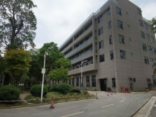 廣東-廣州-番禺區(qū)倉庫出租