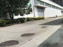 福建-泉州-晉江市倉庫出租