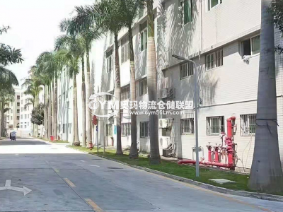 廣東-深圳-龍華區(qū)倉庫出租