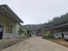 廣東-惠州-惠城區(qū)倉庫出租