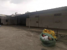 廣東-廣州-番禺區(qū)倉庫出租