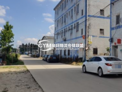 廣東-深圳-龍華區(qū)倉庫出租