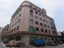 廣東-廣州-南沙區(qū)倉(cāng)庫(kù)出租