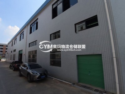 廣東-廣州-南沙區(qū)倉(cāng)庫(kù)出租