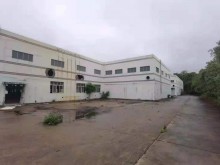 廣東/中山/南區(qū)街道倉庫出租