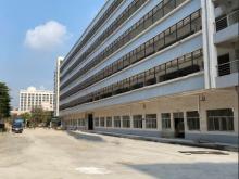 廣東/東莞/石碣鎮(zhèn)倉庫出租