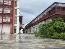 廣東-東莞-大朗鎮(zhèn)倉庫出租