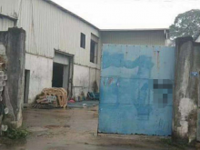 廣東-廣州-增城區(qū)倉庫出租