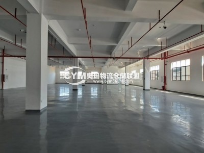 廣東-珠海-金灣區(qū)倉庫出租