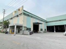 廣東/東莞/大朗鎮(zhèn)倉庫出租