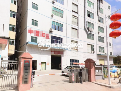 廣東-深圳-龍華區(qū)倉庫出租