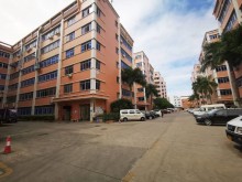 廣東-深圳-龍崗區(qū)倉(cāng)庫(kù)出租