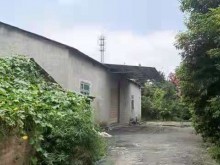 四川/成都/溫江區(qū)倉庫出租