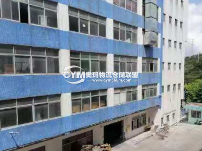 廣東-中山-南區(qū)街道倉庫出租
