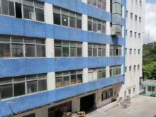 廣東/中山/南區(qū)街道倉庫出租