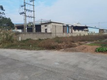 廣東/江門/臺(tái)山市倉庫出租