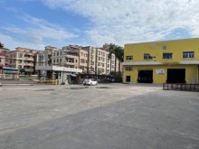 廣東-中山-板芙鎮(zhèn)倉庫出租