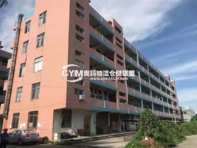 廣東-江門-臺山市倉庫出租