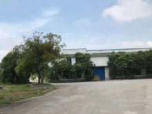廣東/江門/開平市倉庫出租