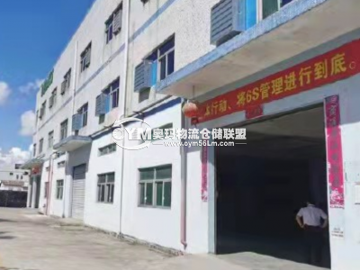 廣東-惠州-惠東縣倉庫出租